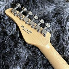 SCHECTER OL-FL-FM-2/SSTB -Japan Original Line-_7