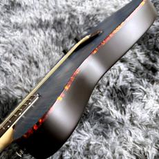SCHECTER OL-FL-FM-2/SSTB -Japan Original Line-_9