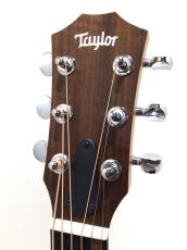 Taylor GS mini_3
