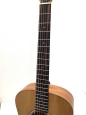 Taylor GS mini_4