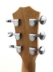 Taylor GS mini_7