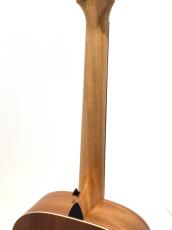 Taylor GS mini_8