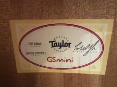 Taylor GS mini_9