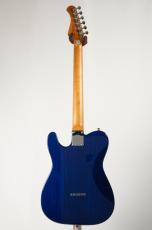 Bacchus TACTICS-ASH/RSM -See Through Blue-【4.12kg】_4