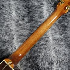 Epiphone Hummingbird Deluxe EC Autumn Burst_7