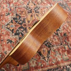 LAG Guitars TRAMONTANE T70A-NAT Auditorium Natural【特価】_9