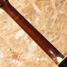 Taylor PS-14ce-L4 2005_7