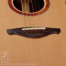 SHUN KAMADA GUITARS SJ (Cocobolo)【デモ動画掲載】_11