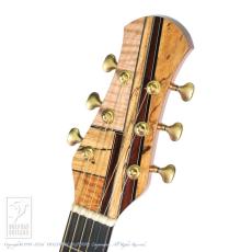 MICHIHIRO MATSUDA Style M1 Cutaway【サウンドメッセin大阪 2026出展作品】_7