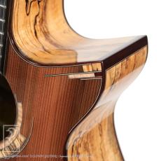 MICHIHIRO MATSUDA Style M1 Cutaway【サウンドメッセin大阪 2026出展作品】_12