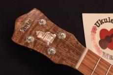 Antar  Custom Cat Inlay Curly Mango Concert Ukulele #5644