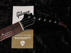 Gibson Theodore Jr Gloss Prototype : Dark Walnut_8
