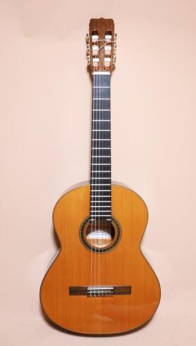 Jose Ramirez [ホセ・ラミレス] R-VINO　ショートスケール