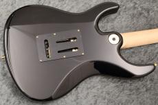 FREEDOM CUSTOM GUITAR RESEARCH Custom Order HYDRA 24F Standard Grade Figured Top/Alder Body/日の出【当店カスタム配線採用】_11