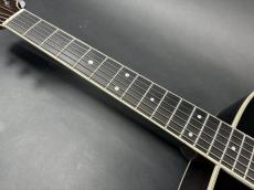 Takamine 200 Custom Order Made Adirondack / Solid Adirondack Spruce Top・Solid Rosewood Side and Back・Ebony Fingerboard・Jacaranda Bridge・Abalone Rosette・Tortoise Color Pick guard【With Semi Hard Case】2026年製_9