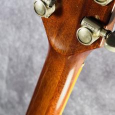 Gibson Les Paul Deluxe Gold Top_10