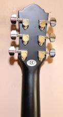 JUNO EA-50FC/SBKS    fホール　エレアコ_12