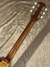 KING SNAKE 【NEW】Smith Amber Natural S-196 [2.40kg]【G-CLUB TOKYO】　_8