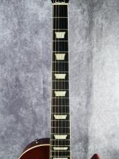 Tokai Les Paul Reborn LS-80 (初期モデル)_3