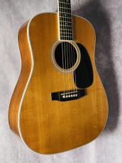 Martin D-35_10