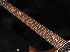 Paul Reed Smith [PRS] 20th Anniversary Standard 24 ~Vintage Mahogany~ 2007年製_9