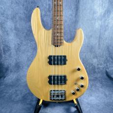 ESP  AP-SL 