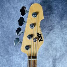 ESP  AP-SL _2