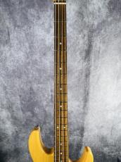 ESP  AP-SL _3