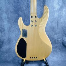 ESP  AP-SL _5