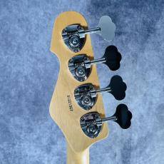 ESP  AP-SL _6