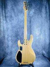 ESP  AP-SL _8