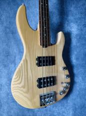 ESP  AP-SL _9
