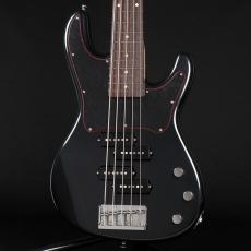 FREEDOM CUSTOM GUITAR RESEARCH  Blowzer 5st PP ~Mummy~