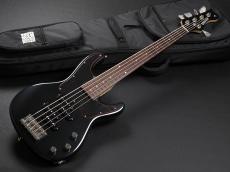 FREEDOM CUSTOM GUITAR RESEARCH  Blowzer 5st PP ~Mummy~_2