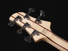 dragonfly CS5/345 Custom_9