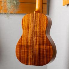 Kanile'a ISLT/DG_9