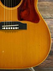 Gibson 1965 LG-1_9