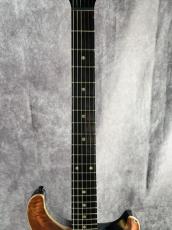 Paul Reed Smith [PRS] CE24 MAPLE_3