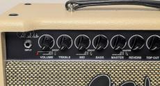 Paul Reed Smith [PRS] DGT 15 HEAD -Blonde Tolex-_3