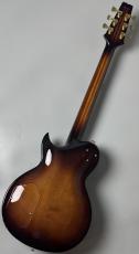 Aria Pro II PE-R100 -Smoky Amber- #25507110 【4.08kg】_7