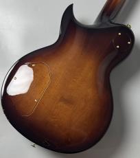 Aria Pro II PE-R100 -Smoky Amber- #25507110 【4.08kg】_8