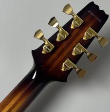 Aria Pro II PE-R100 -Smoky Amber- #25507110 【4.08kg】_10