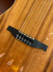 Godin 【中古品】ACS Koa HG_4
