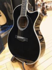 Martin CUSTOM GPC STYLE41 SGZ