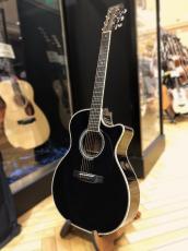 Martin CUSTOM GPC STYLE41 SGZ_2