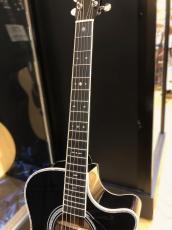 Martin CUSTOM GPC STYLE41 SGZ_4