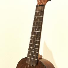 Martin Centennial Concert Uke_3