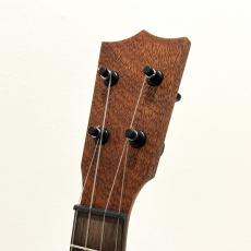 Martin Centennial Concert Uke_4