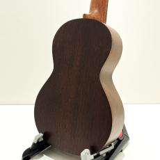 Martin Centennial Concert Uke_5