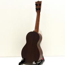 Martin Centennial Concert Uke_6